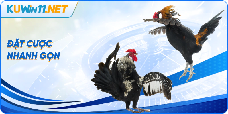 Đặt cược nhanh gọn