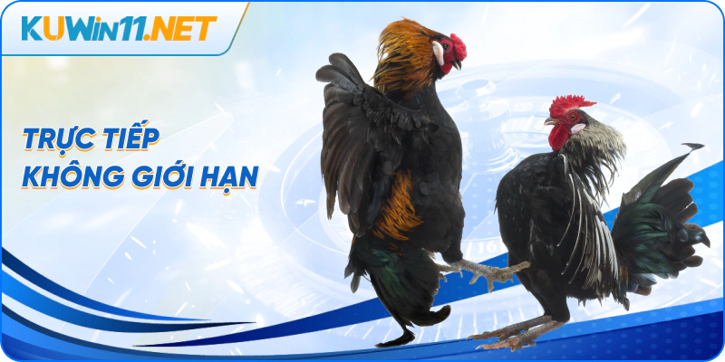 Trực tiếp không giới hạn